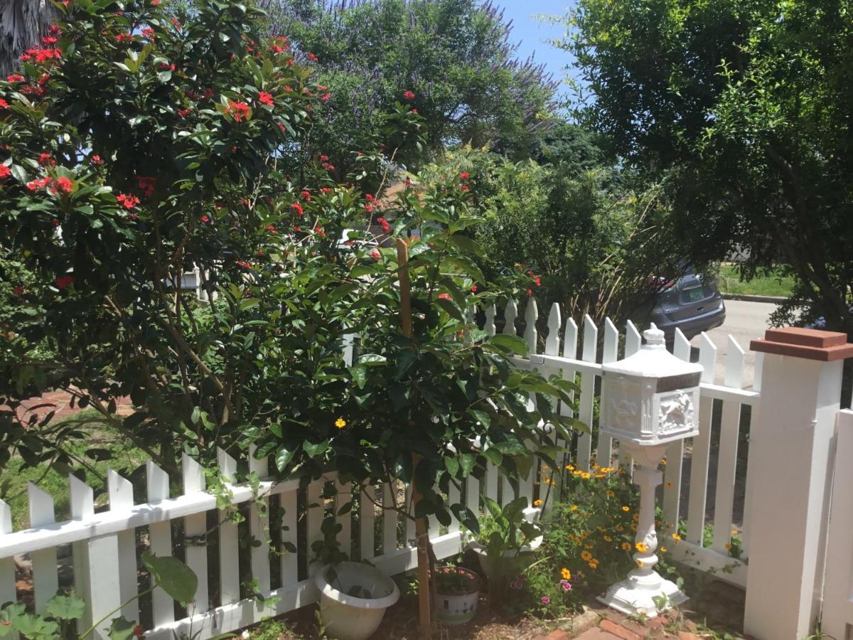 1118 Postoffice Street Daire Galveston Dış mekan fotoğraf